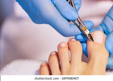 Close up of professional painting french pedicure nails on foot. Specialist in beauty salon making french pedicure for female client. Relaxing at beauty salon, caring about nails.           