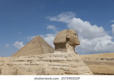close profile portrait of the sphinx in front of cheope pyramid. Giza, Egypt