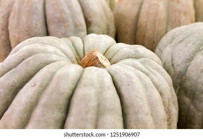 Close up pumpkins.Selective focus                          