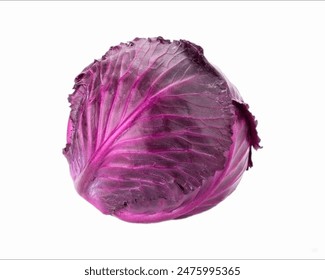 Close up of Purple Cabbage vegetable with white backround  - Powered by Shutterstock