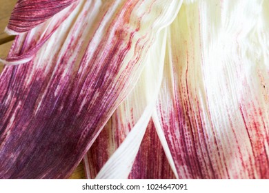 Close Up Of Purple Corn Husk. Corn Husk Texture For Background.