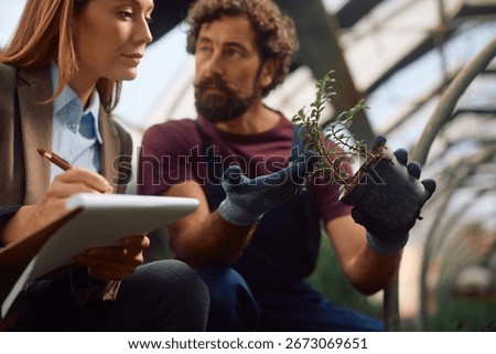 Close up of quality control inspector and worker examining potted plants in a greenhouse. 