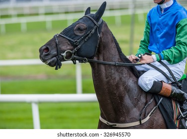 Close Up Of Race Horse And Jockey On The Race Track