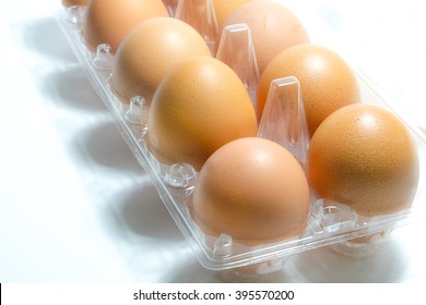 Close- Up In Raw Egg In A Plastic Tray