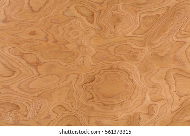 Close up real walnut burl wood grain texture background. Extremely high resolution photo.