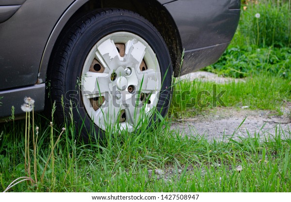 Close up\
rear wheel of abandoned broken down gray car on overgrown grassy\
cracked concrete with dandelion flower\
puffs.