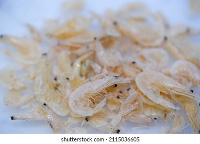 Close Up Rebon Shrimp On White Background