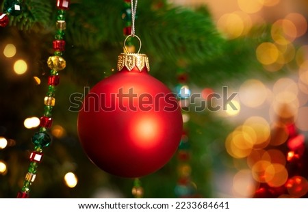 Close up of red ball on branch of Christmas tree on background of shining golden garland lights. Christmas decoration. New Year