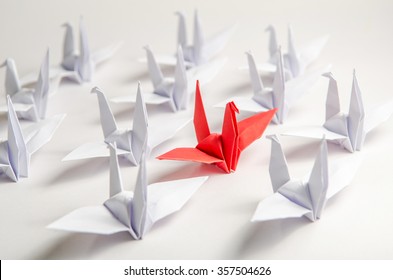 Close Up Red Bird Flying Different Through A Group Of White Bird, Game Changer Business.
