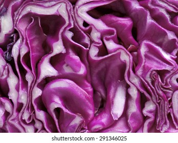 close - up of red cabbage