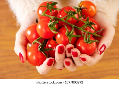 Close Up Of Red Cherry Tomatoes Held In The Hand By A Girl With Red Nails