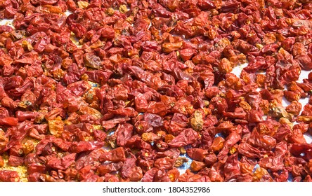 close up of red chilli pepper put outside in sunlight to dry.Pile of red chillies, selective focus.