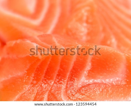 close up of red fish
