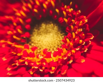 A close up of a red flower with yellow and orange petals. The flower is in full bloom and has a vibrant, eye-catching appearance. The colors of the flower are bright and bold - Powered by Shutterstock