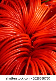 Close Up Of Red Glass Bangles                                