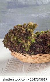 Close Up Of Red Oak Lettuce On Wooden Bowl