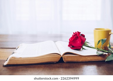 close up of the red rose on open old bible with yellow coffee cup on wooden table with window light, white curtain background copy sapce for text, Christian devotion bible study concept - Powered by Shutterstock