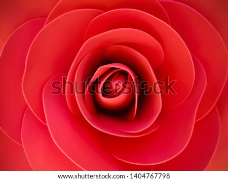 Similar – Image, Stock Photo pink rose Environment