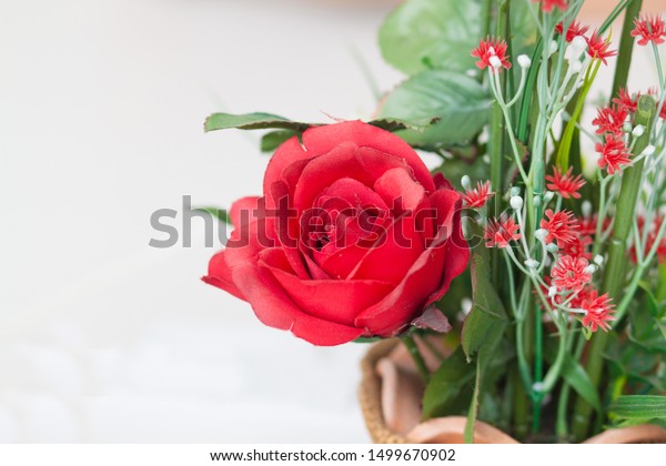 Close Red Roses Flowers Decorate Vase Stock Photo Edit Now