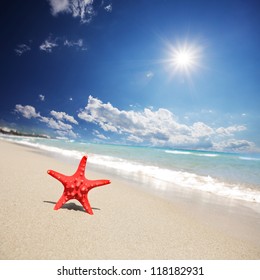 close up red starfish on beach
