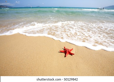 Close Up Red Starfish On Beach