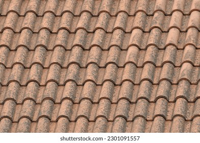 Close up of red terracotta roof with some mildew on them