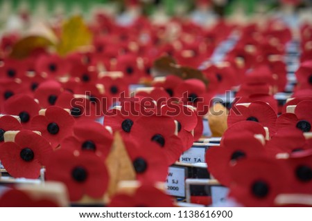 Close up of Poppy’s for Remembrance Day