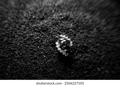 A close up of a ring