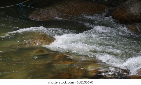 close up of a river