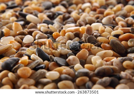 close up of the river pebbles