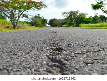 Close up of a road