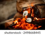 Close up of roasting marshmallows over a campfire. Firepit s