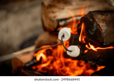 Close up of roasting marshmallows over a campfire. Firepit s'mores. - Powered by Shutterstock