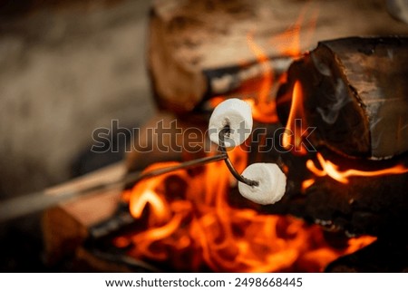 Close up of roasting marshmallows over a campfire. Firepit s'mores.