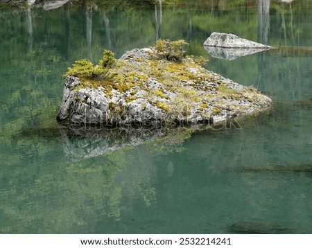close up of rock with small pine trees growing on it in Lake Vert, Passy, Haute Savoie, France. Relfection lake detail