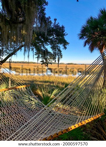 Close up of a rope hammock overlooking marshlands