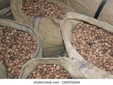 Close up of rough brown natural burlap sacks with a purple blue stripe, opened and full of nutmeg seed pods in their shells. Industry background taken at a Caribbean shipping plant. - Powered by Shutterstock