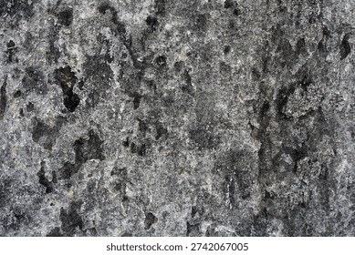 Close Up Rough Wall Concrete Surface Texture. Rough Textured Wall Surface with Dark Gray and Black Splotch Pattern.