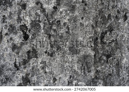 Close Up Rough Wall Concrete Surface Texture. Rough Textured Wall Surface with Dark Gray and Black Splotch Pattern.