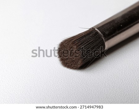 Close Up of Rounded Makeup Brush Tip with Dense Bristles on White Background