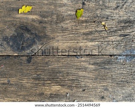 Close up of rustic rough solid wood dark oakwith black veinings and woodgrain in vintage  color.