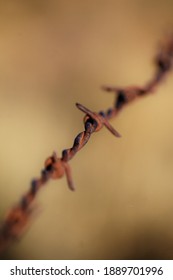 Close up of rusty barbed wire