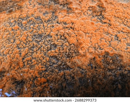 Close up rusty corroded metal with bubble texture