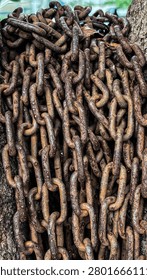 Close up of rusty iron chains wrapped around a tree trunk showing weathered metal, corrosion and contrasting natural textures in an outdoor environment