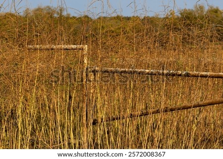 Close up of a rusty iron road gate surrounded by autumn dried weeks in Sequoyah State Park in Hulbert, Oklahoma, USA