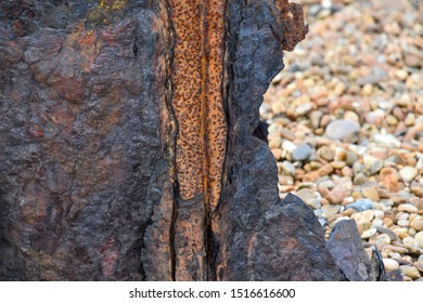 Close Up Of Rusty Metal Sea Wall Found On Felixstowe Beach