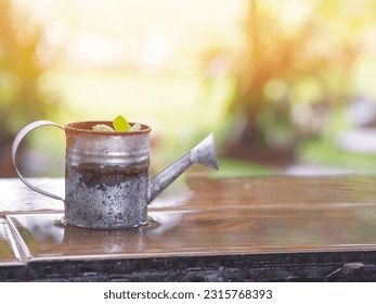 Close up rusty watering can with small green plant inside on wet wooden table over raining day with sunlight background.