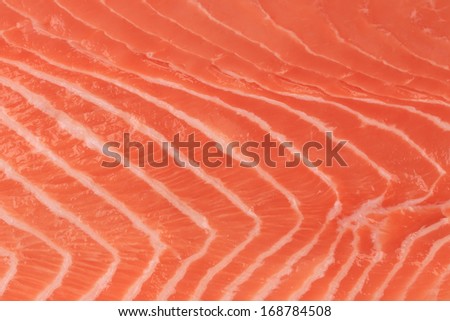 Close up of salmon fillet. Macro. Whole background.