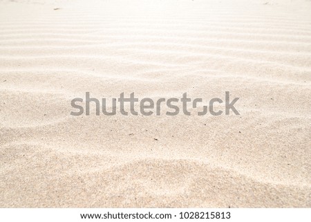 Similar – Sea snails on the beach