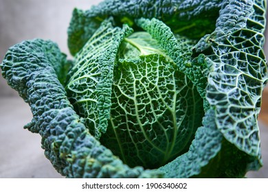 Close Up Of A Savoy Cabbage